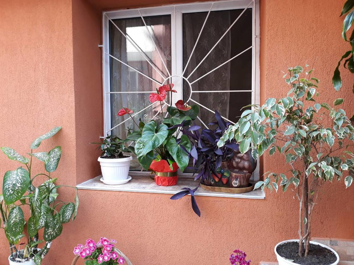 Guest House Yanina Sozopol Exterior foto